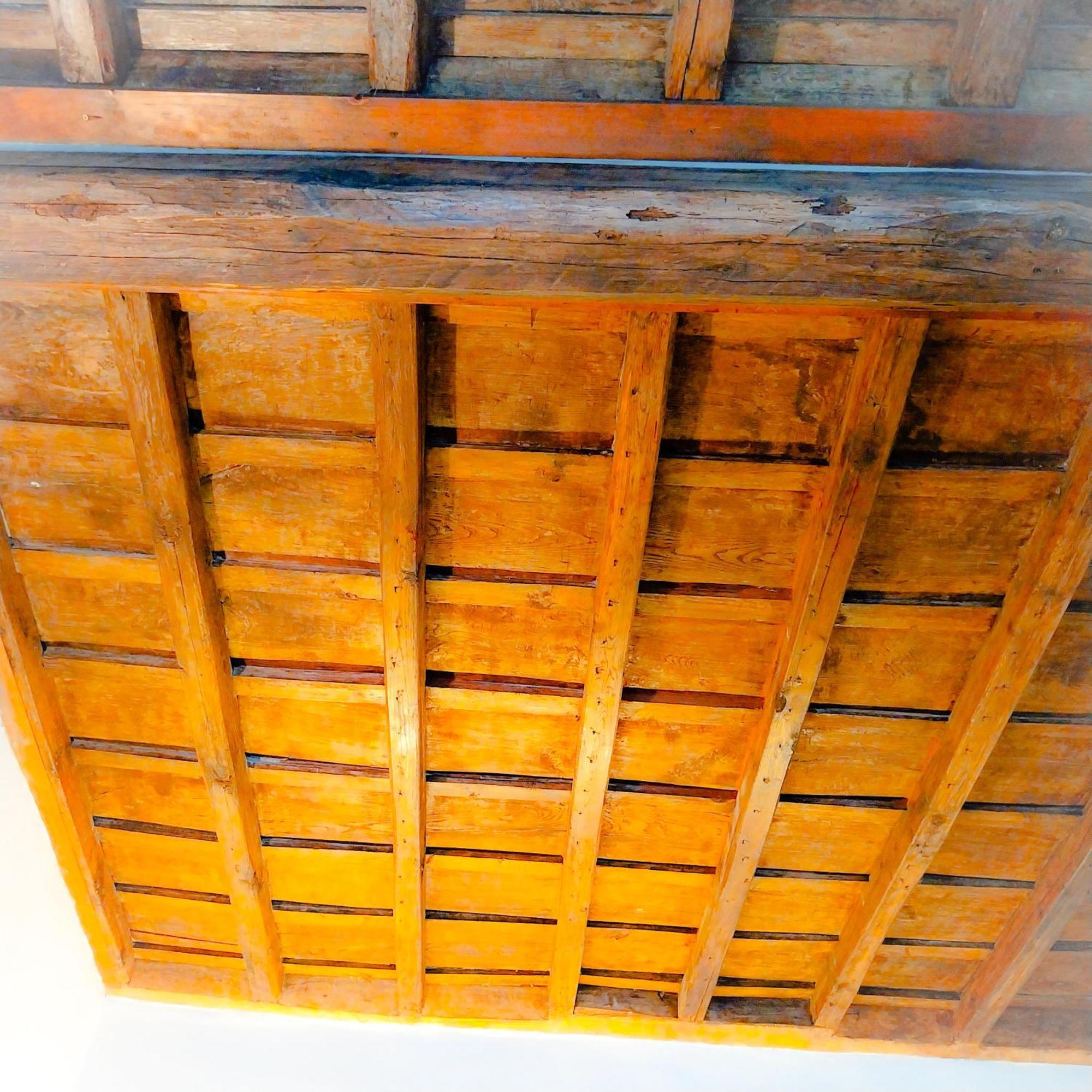 Sunhouseروما المظهر الخارجي الصورة